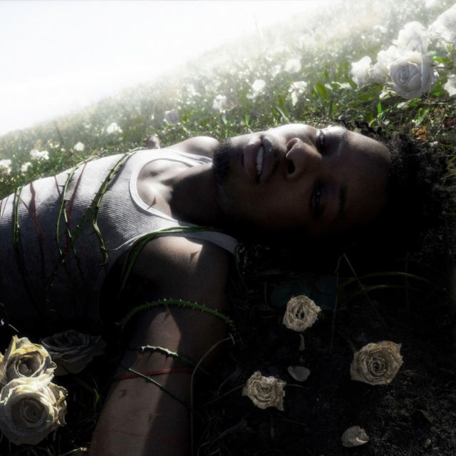 David "Withered" album cover