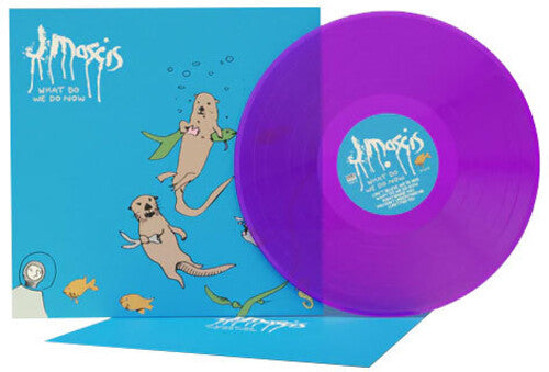 J Mascis - What Do We Do Now album cover and purple transparent vinyl.