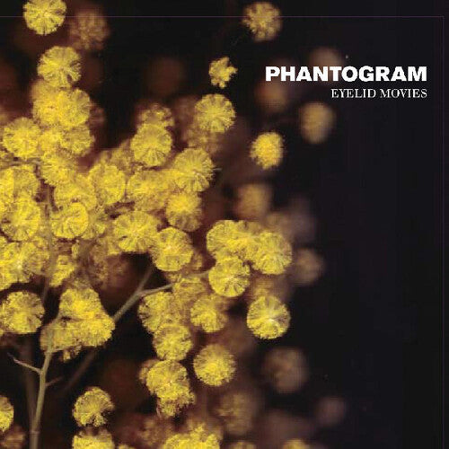 Album cover with yellow flowers and 'Phantogram Eyelid Movies' text on a dark background