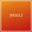 Jungle - Volcano album cover.