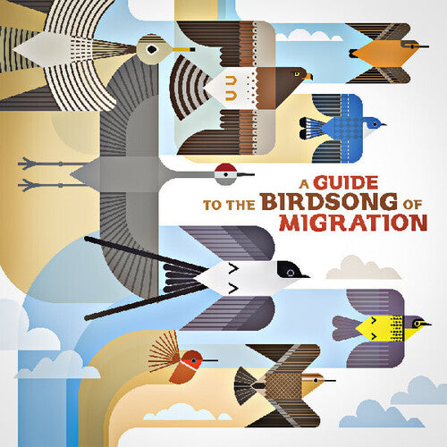 A Guide to the Birdsong of Migration album cover
