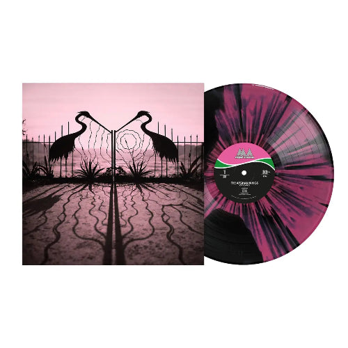 Afghan Whigs - Soft Control album cover and pink and black vinyl