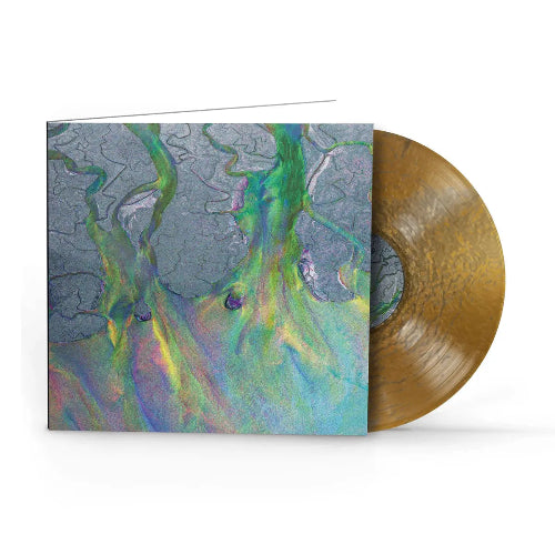 An Awesome Wave - Alt-J album cover and metallic gold vinyl.