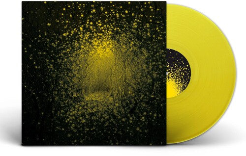 The Antlers - Burst Apart album cover and lemonade vinyl.