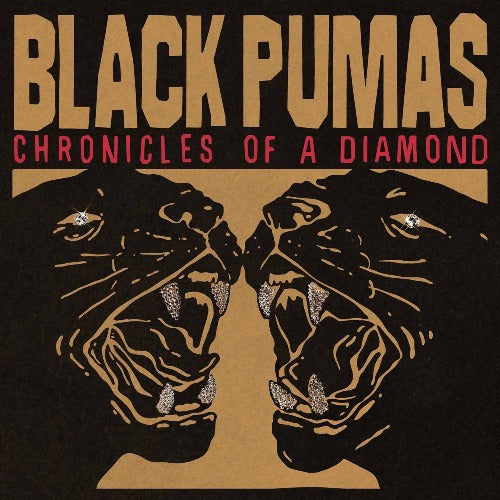 Black Pumas - Chronicles of A Diamond album cover