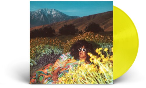 Brittany Howard - What Now album cover and lemonade vinyl