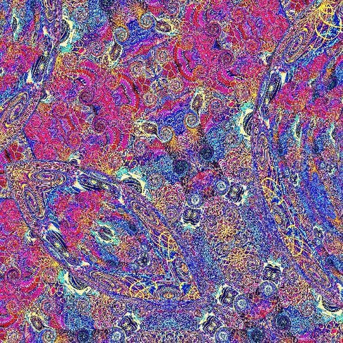 Carlos Nino & Friends - Placenta album cover.