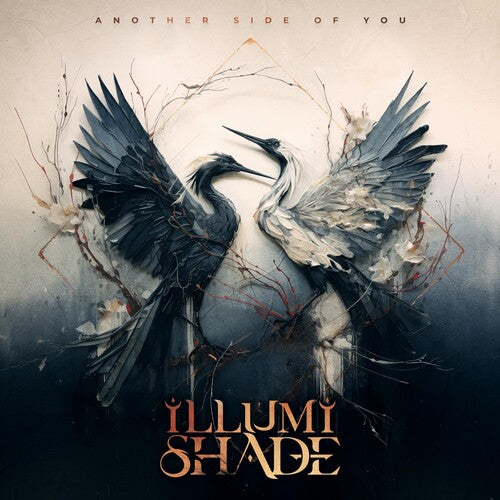 Illumishade - Another Side Of You album cover.