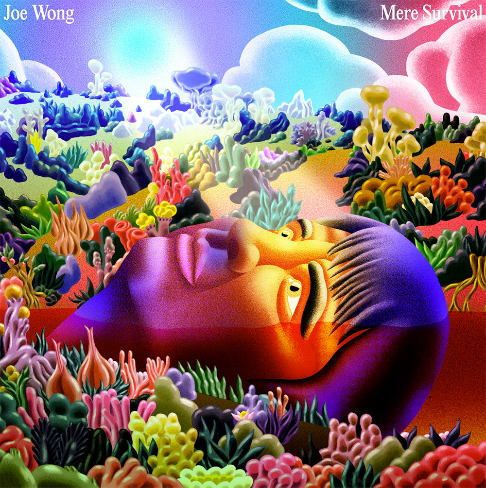 Joe Wong - Mere Survival album cover