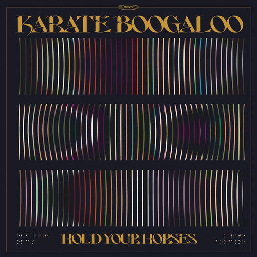 Karate Boogaloo - Hold Your Horses album cover.