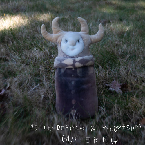 MJ Lenderman & Wednesday - Guttering album cover.