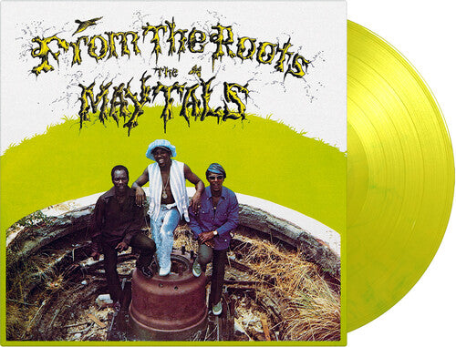 The Maytals - From The Roots album cover and yellow vinyl.