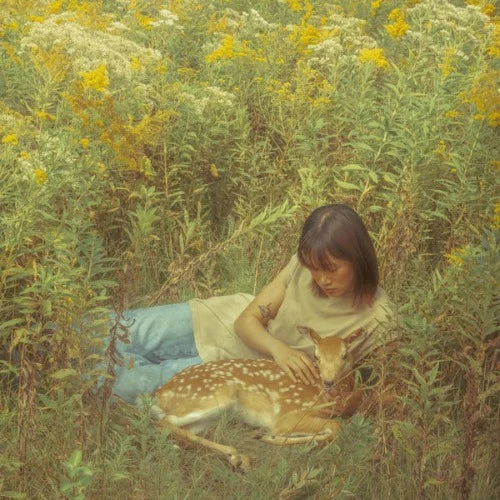 Odesza - Flaws in Our Design album cover.