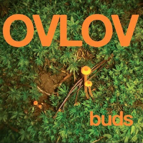 Ovlov - Buds album cover.