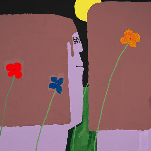 Slow Pulp - Yard album cover.