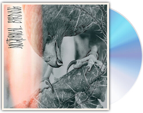 Author & Punisher - Nocturnal Birding album cover