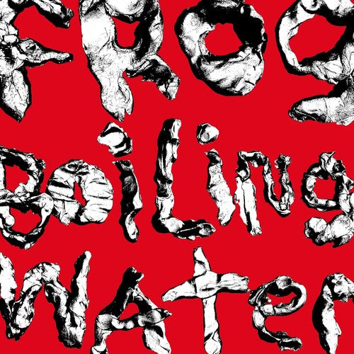 Diiv - Frog In Boiling Water album cover.