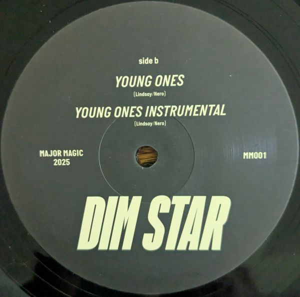 Vinyl record label with text 'YOUNG ONES', 'YOUNG ONES INSTRUMENTAL', 'DIM STAR' on a black background.