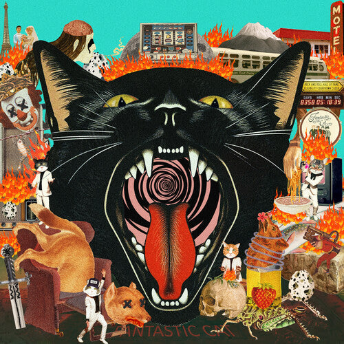 Fantastic Cat - Cat Out Of Hell album cover.