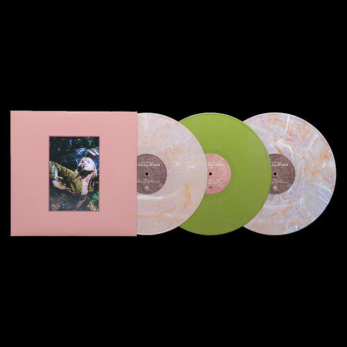 Hayley Williams - FLOWERS for VASES + Petals for Armor album cover and 3LP pink marble / green vinyl.