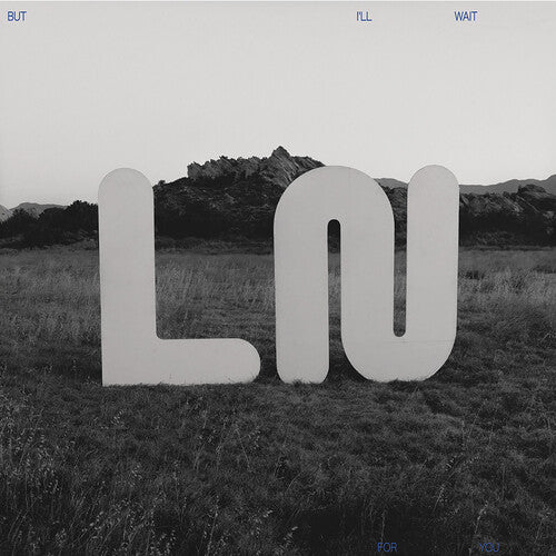 Local Natives - But I'll Wait For You album cover.