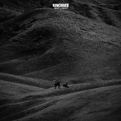 NxWorries - Why Lawd? album cover.