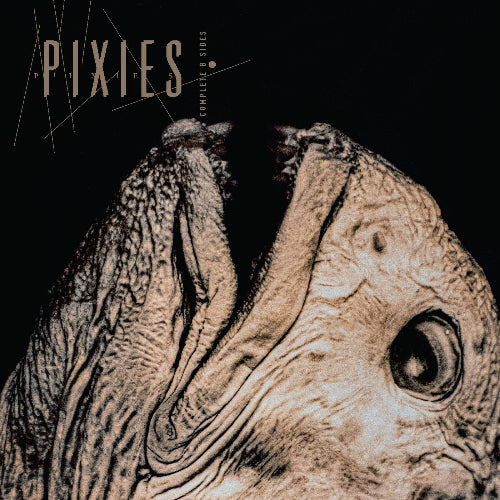 Pixies - Complete B Sides: 1988-97 album cover