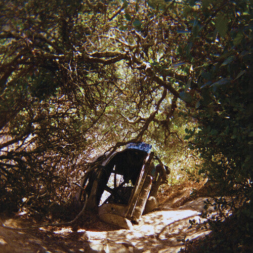 Ty Segall - Possession album cover