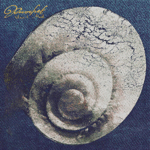 Snail Mail - Ricochet album cover.