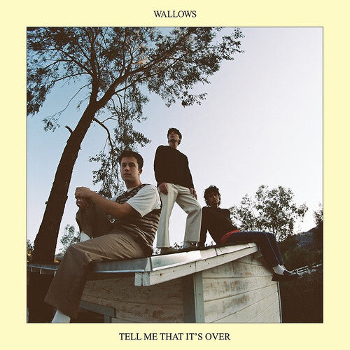 Wallows - Tell Me That its Over album cover