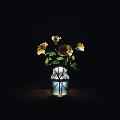 Billy Strings - Renewal album cover