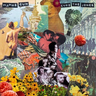 Mamas Gun - Cure the Jones album cover