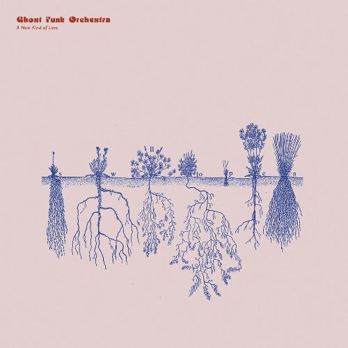 Ghost Funk Orchestra - A New Kind Of Love album cover.
