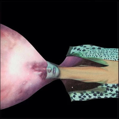 Painted Shield - Painted Shield 2 album cover