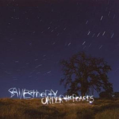 Saves the Day - Under the Boards album cover.