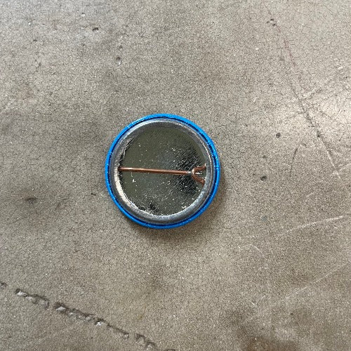 The Filth and the Fury Pin back