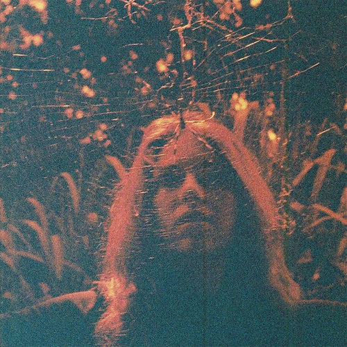 Turnover - Peripheral Vision album cover.