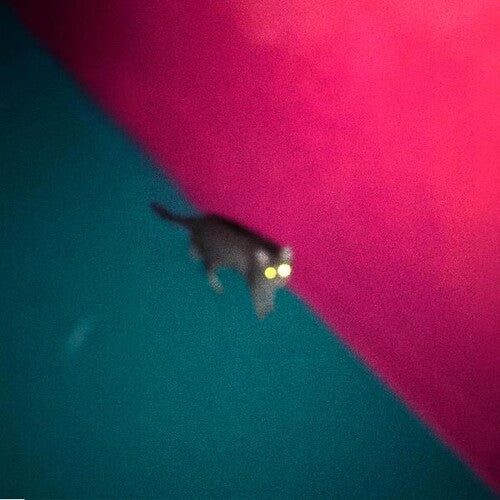 !!! (Chk Chk Chk) - Wallop album cover.