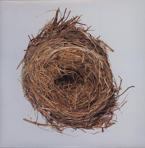Wilco - A Ghost is Born album cover.