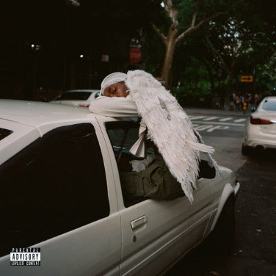 Blood Orange Negro Swan Album Cover