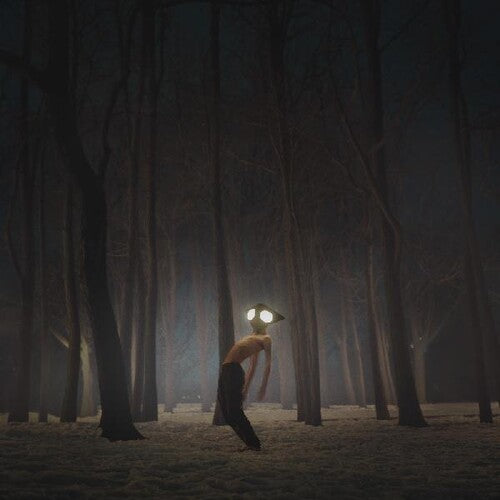 Geese - Projector album cover.