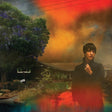 Sharon Van Etten We've Been Going About This All Wrong Album Cover