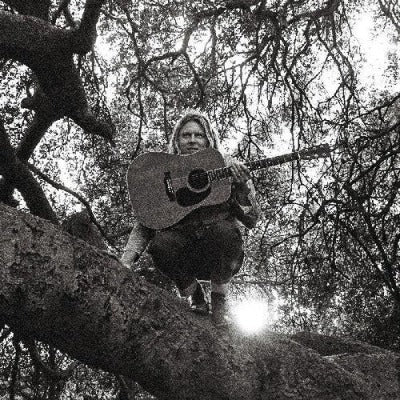 Ty Segall "Hello, Hi" Album Cover