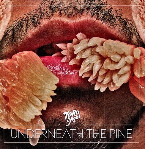 Toro y Moi - Underneath the Pine album cover.