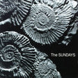 The Sundays - Reading, Writing, and Arithmetic album cover: a close-up of a collection of ammonite fossils, with the text "The SUNDAYS" near the bottom-right corner
