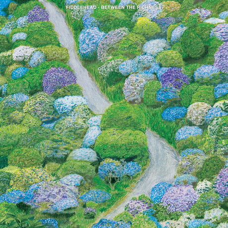 Fiddlehead "Between the Richness" album cover