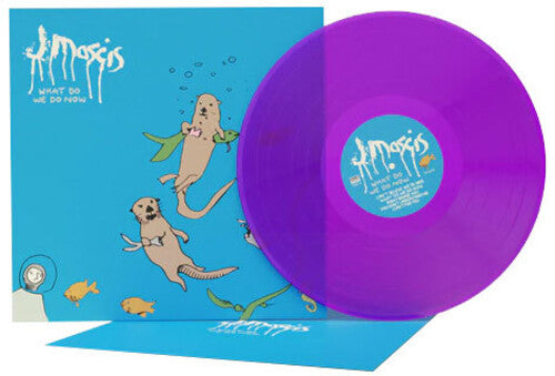 J Mascis - What Do We Do Now album cover and purple transparent vinyl. 