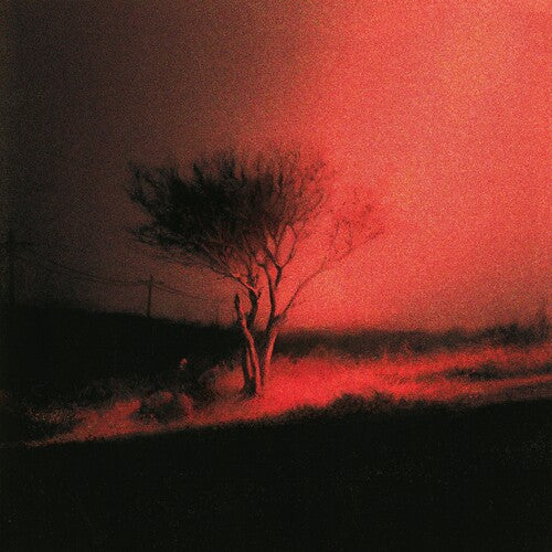 Piss In The Wind (CD) – Rust & Wax Record Shop