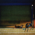 Overmono "Pure Devotion" album cover