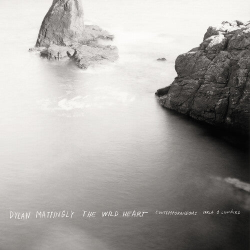  Contemporaneous  - Dylan Mattingly The Wild Heart album cover